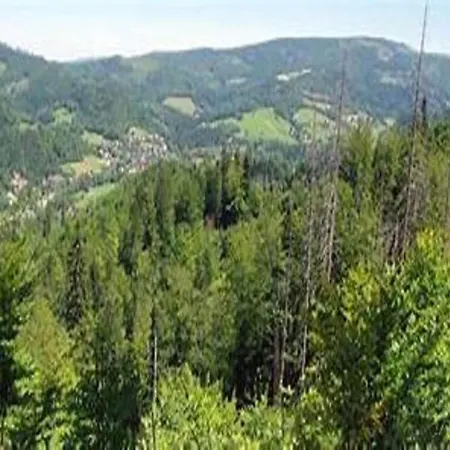 Holiday home In Wis A Near Adam Ma Ysz Jump *